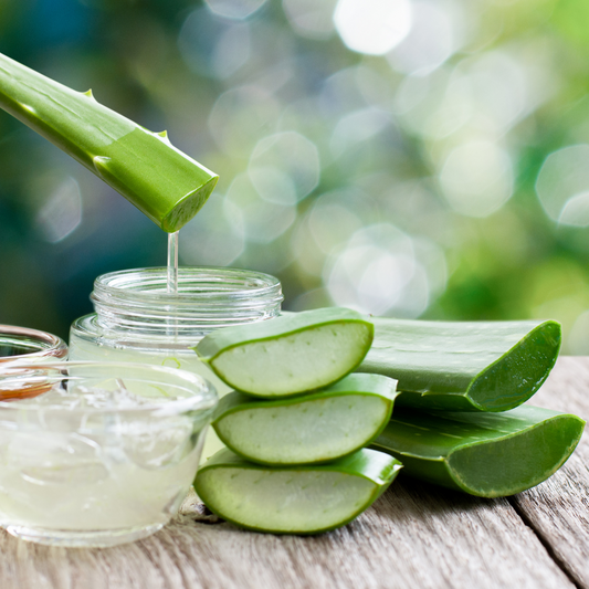 Gel d'Aloe Vera : Bienfaits et Utilisation pour les Cheveux